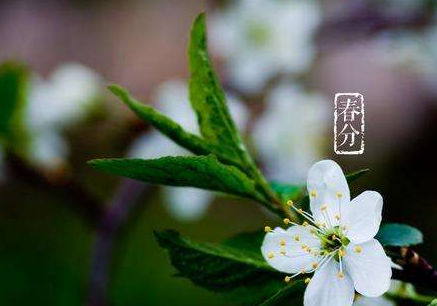 2017春分时节天气冷吗