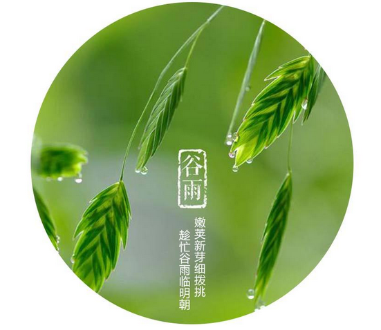 谷雨节气的含义