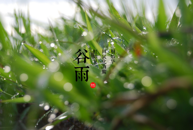 谷雨时节养生吃什么1