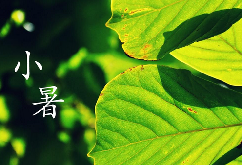 2017年小暑节气时间什么时候1