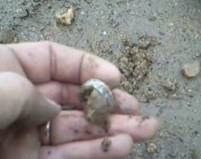 海边捡到百万戒指