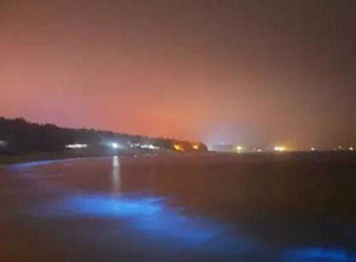 深圳现荧光海奇景