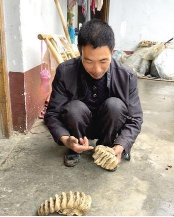 村民挖到罕见化石