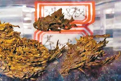 世界最古老茶叶展出