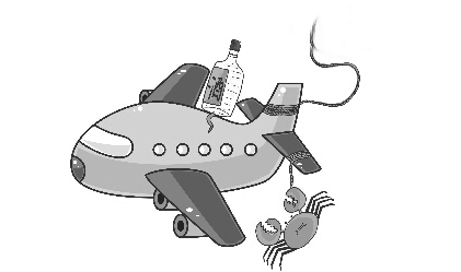 乘坐飞机可以带几瓶酒1