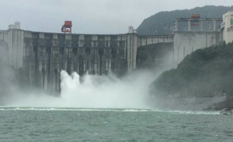 泄洪万吨鲟鱼逃逸