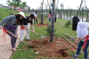 为什么清明节要植树1