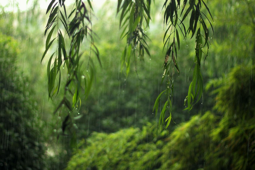 今年农历年何时入梅1