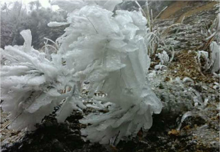 广东连山现雪景奇观1