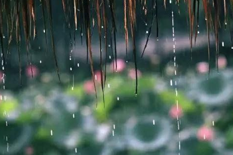 梅雨季节一般持续多久1