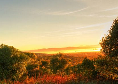 康斯坦博西植物园1