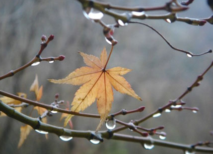 安徽梅雨季节是什么时候1