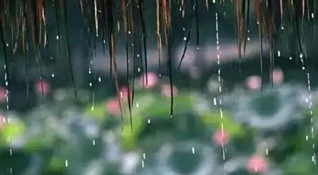 2017年梅雨季节什么时候出梅1