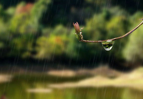 关于梅雨季节的诗句1